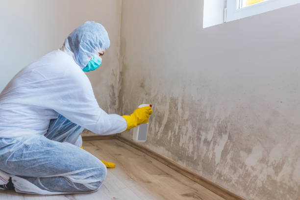 Licensed Mold Testing service in Mechanicsville, VA - WQB Mold Removal