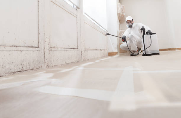 24/7 Emergency Mold Testing experts in Mechanicsville, VA