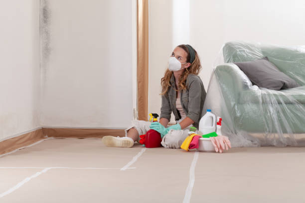 Reliable Mold Testing contractor in Mechanicsville, VA by WQB Mold Removal