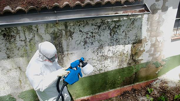 Top rated local Mold Testing specialists in Mechanicsville, VA